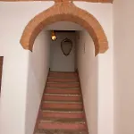 Caliani 3*