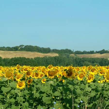 Maison d'hôtes Caliani