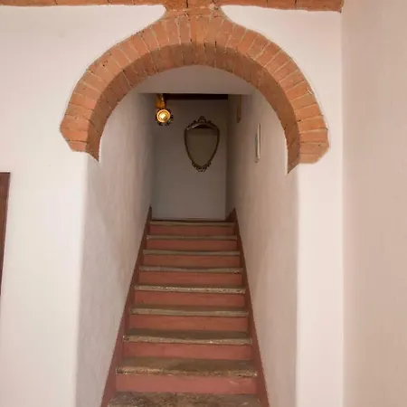 Caliani 3*