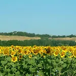 Гостевой дом Caliani